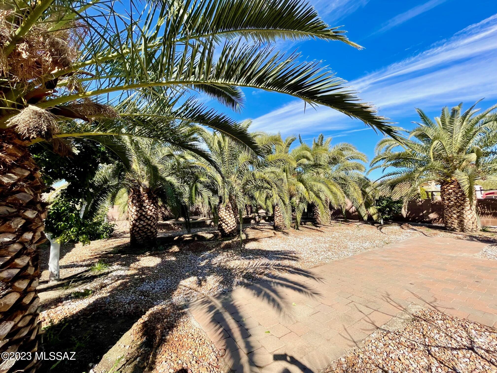 Verde Ranch (1-158) - Residential Lease