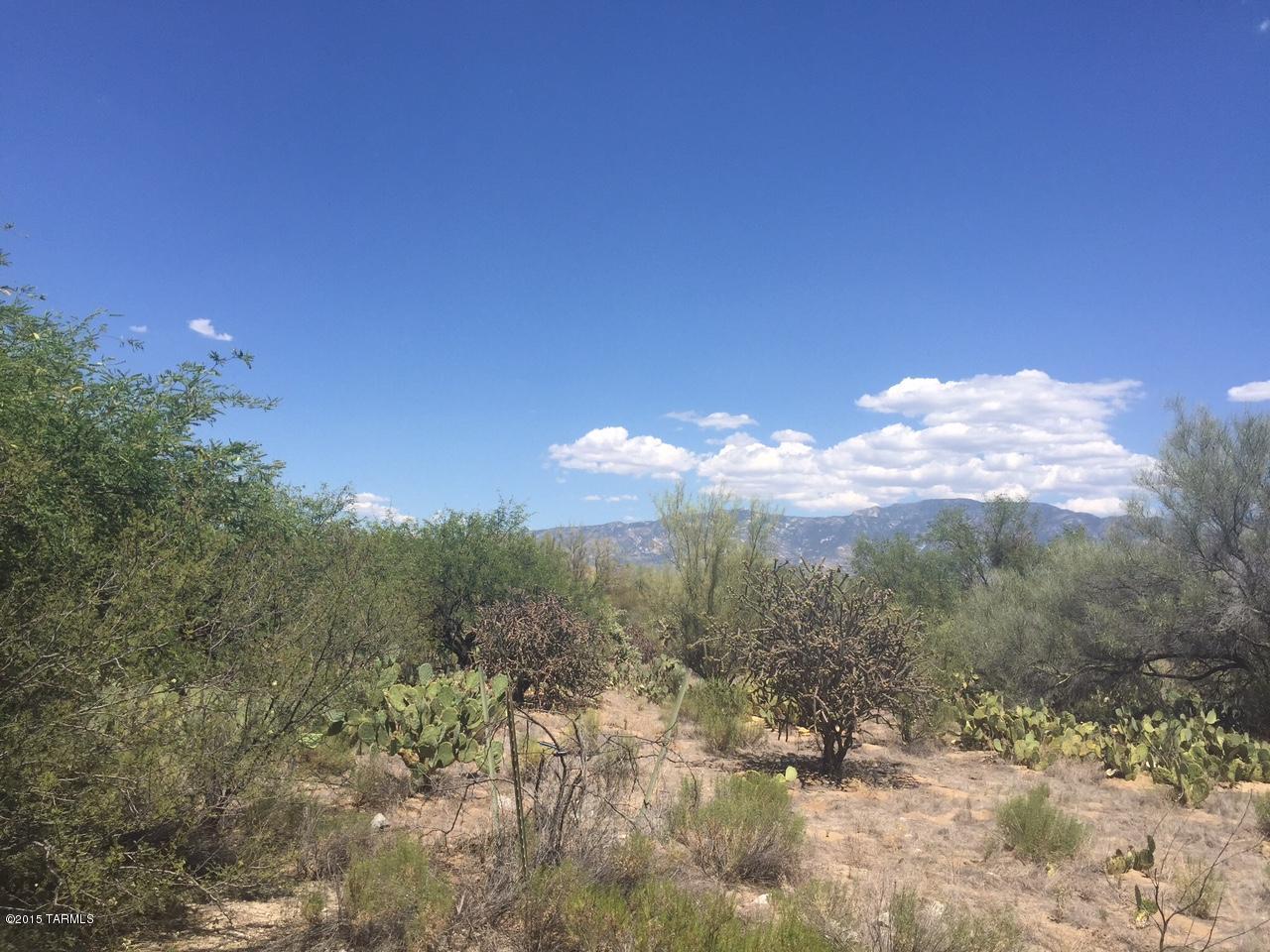 Stone Canyon I - Land