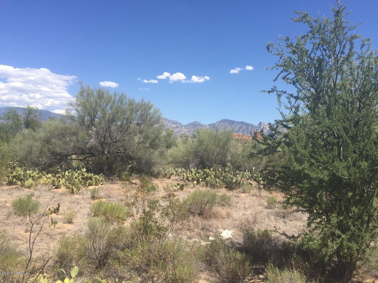 Stone Canyon I - Land