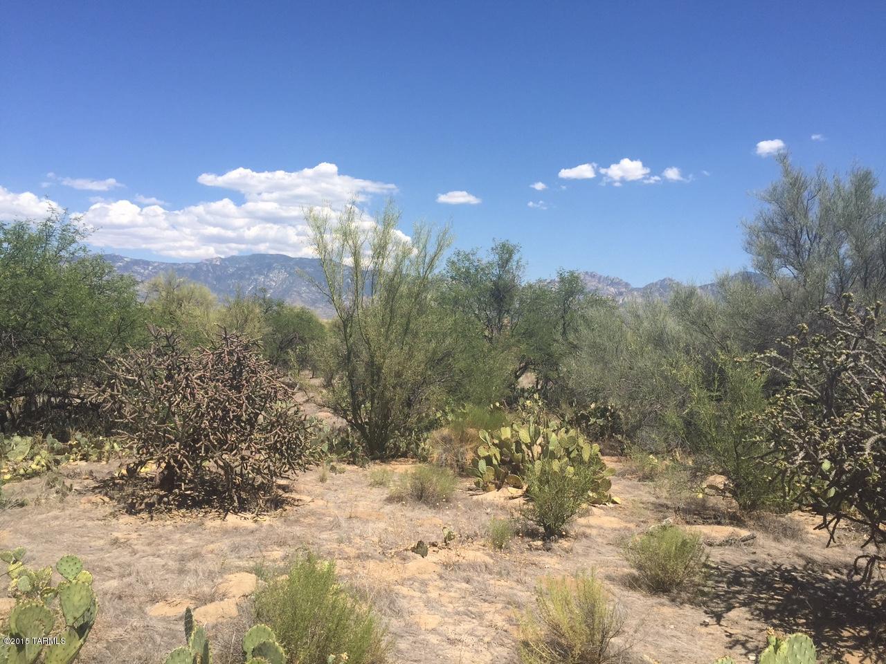 Stone Canyon I - Land