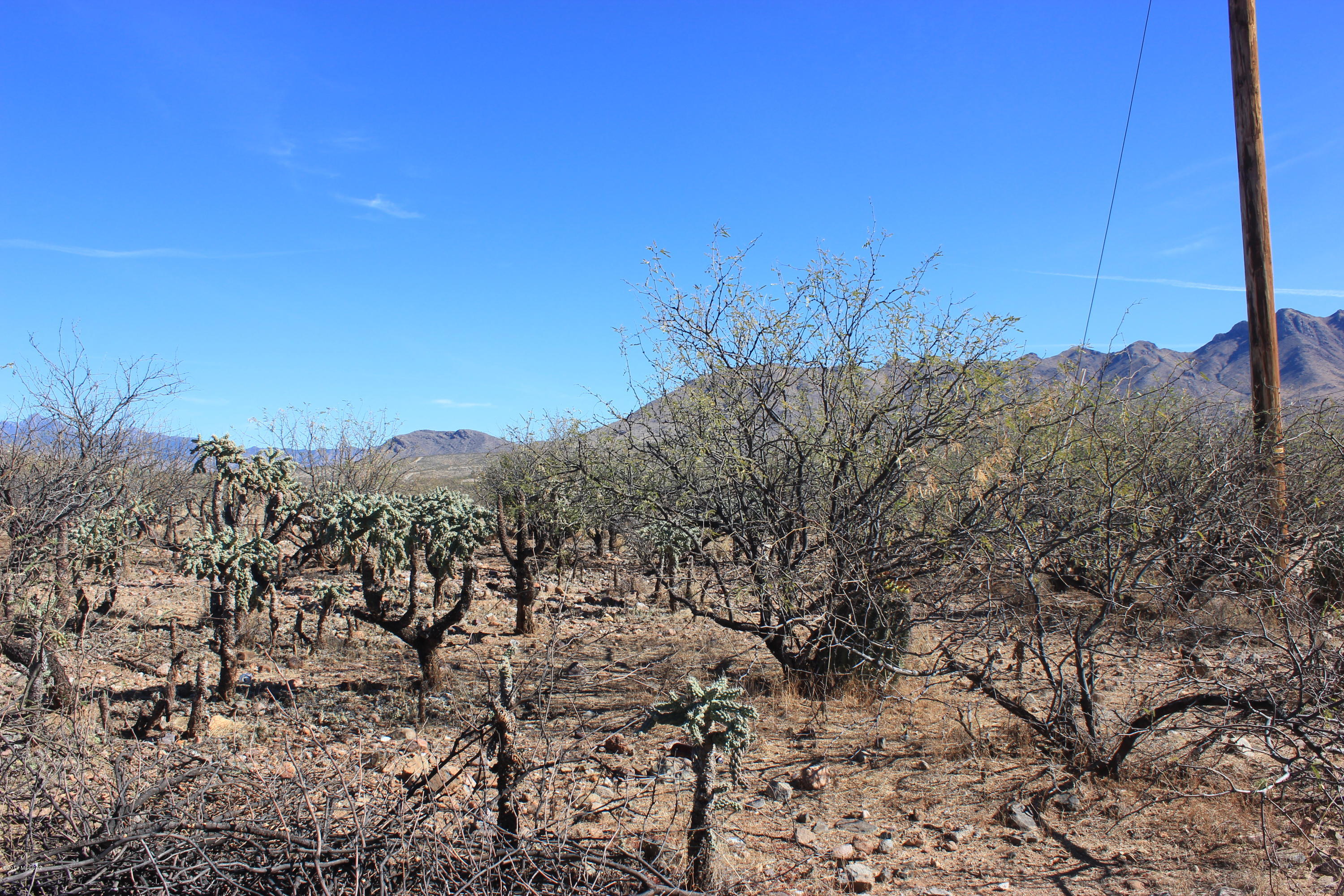 Residential lot not far from Palo Parado bridge Rd. to interstate.  Electric and water at the street.  Septic required. Mountain views.  Seller financing available.