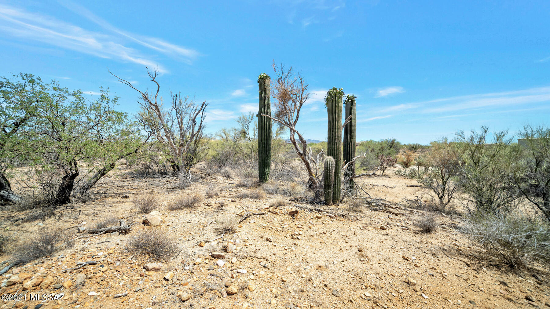 Diamond Bell Ranch - Tucson Unit 9 (Lots 58-375) - Land
