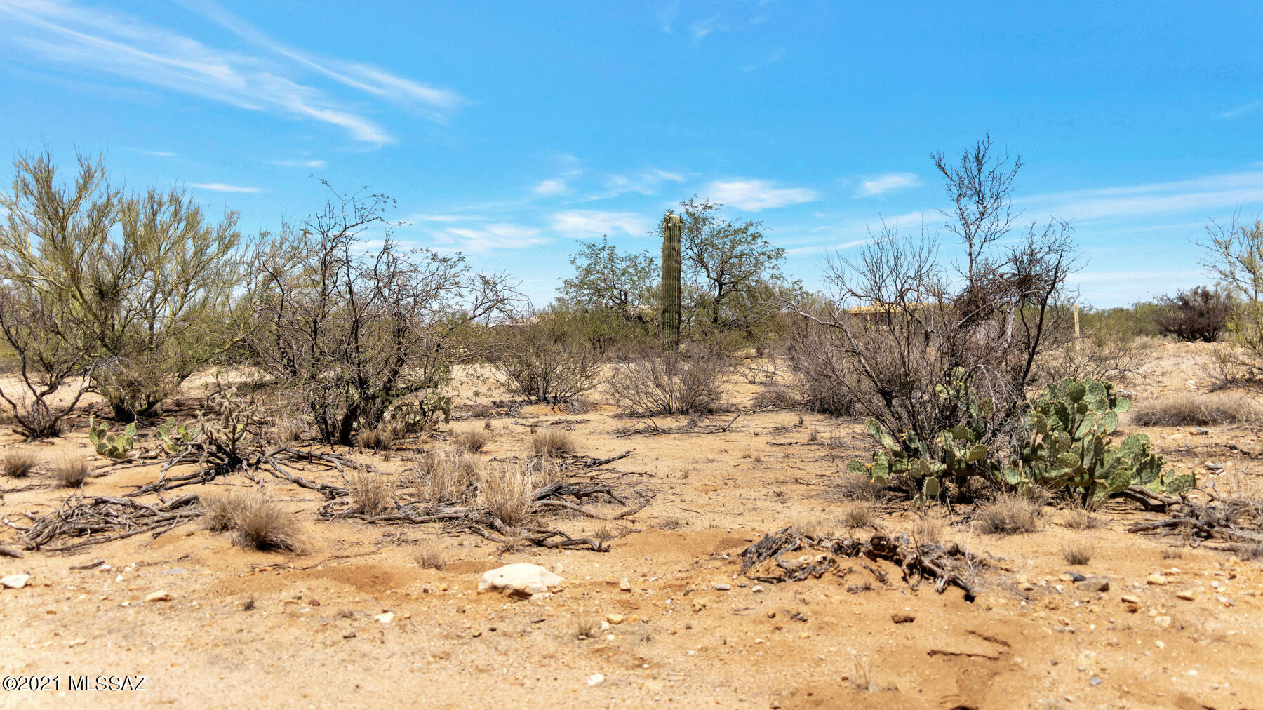 Diamond Bell Ranch - Tucson Unit 9 (Lots 58-375) - Land