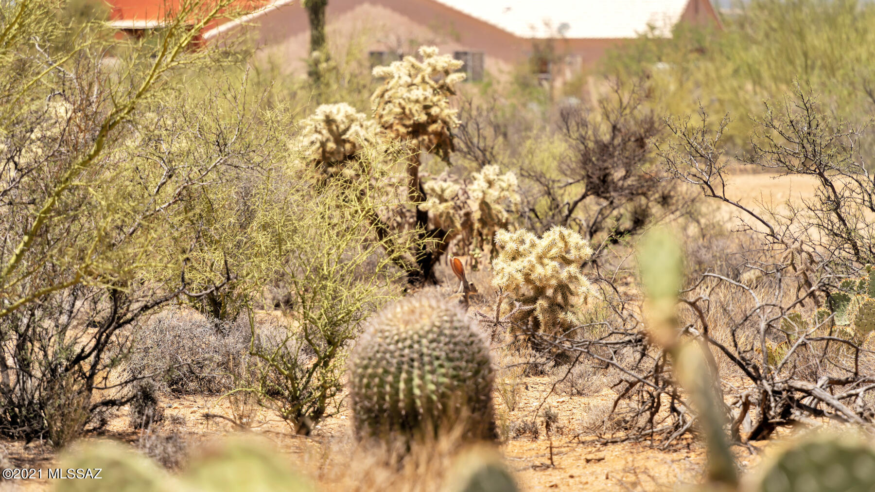 Diamond Bell Ranch - Tucson Unit 9 (Lots 58-375) - Land