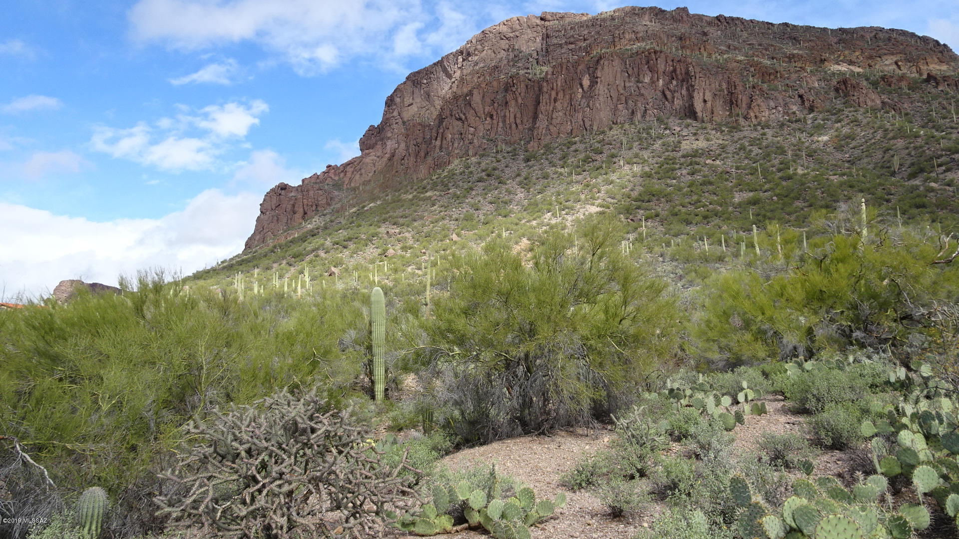 Spectacular Suburban Ranch homesite located in area of custom homes. SR zoning is
for site built homes only. Property borders historic Catalina Council Boy Scouts property on the north. Dazzling views
in all directions. Electric, phone and water available, this custom homesite is ready to build on. Majestic saguaros and
abundant Sonoran Desert vegetation make this one of the best sites available in the area. Easy access to major
shopping and interstate while offering a rural natural setting.