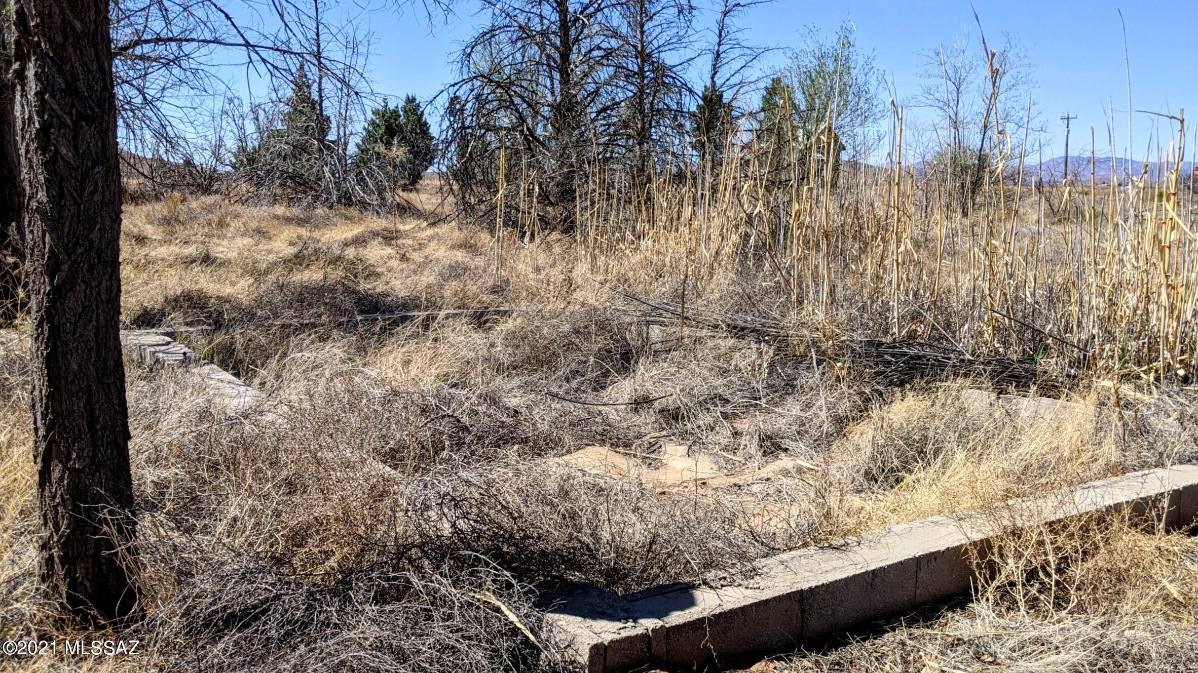 Sunizona Acres - Land