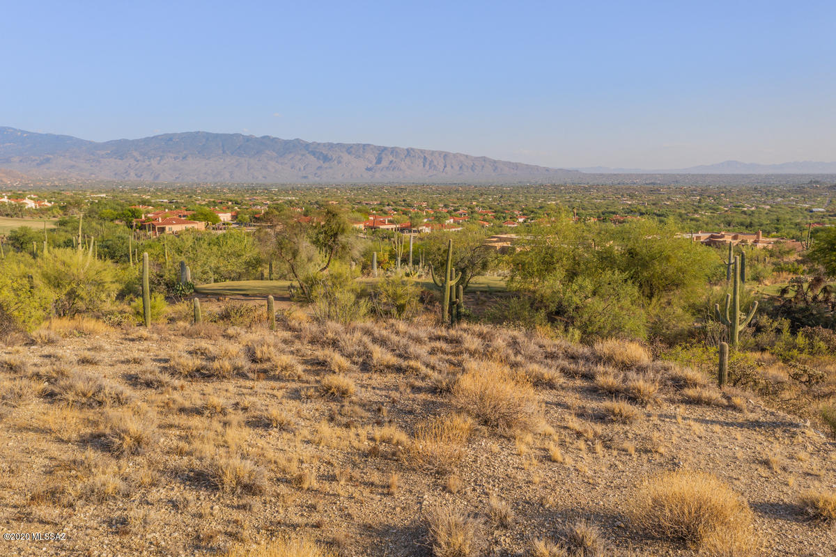 Sabino Estates (1-45) - Land