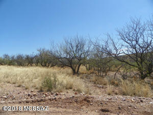 Rio Rico Ranchettes 10 - Land
