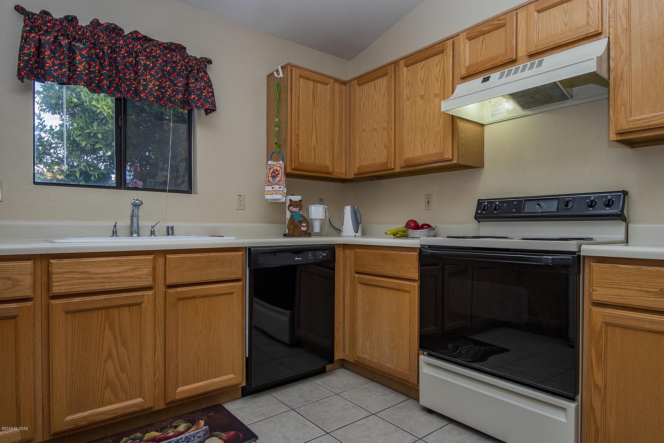Elliott Homes At Rita Ranch (1-521) - Residential