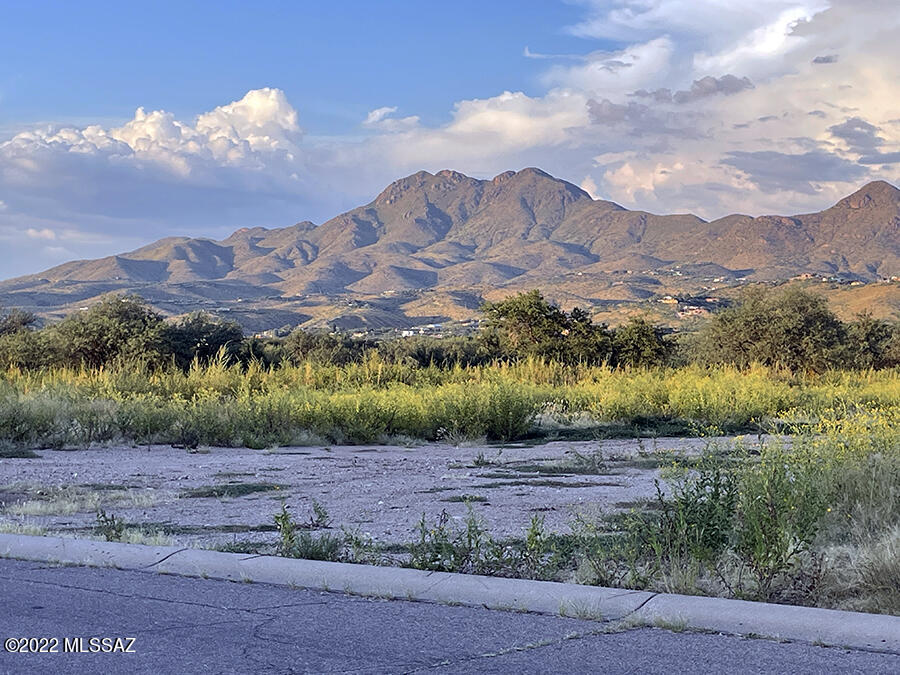 Rio Rico  Unit No 7 - Land