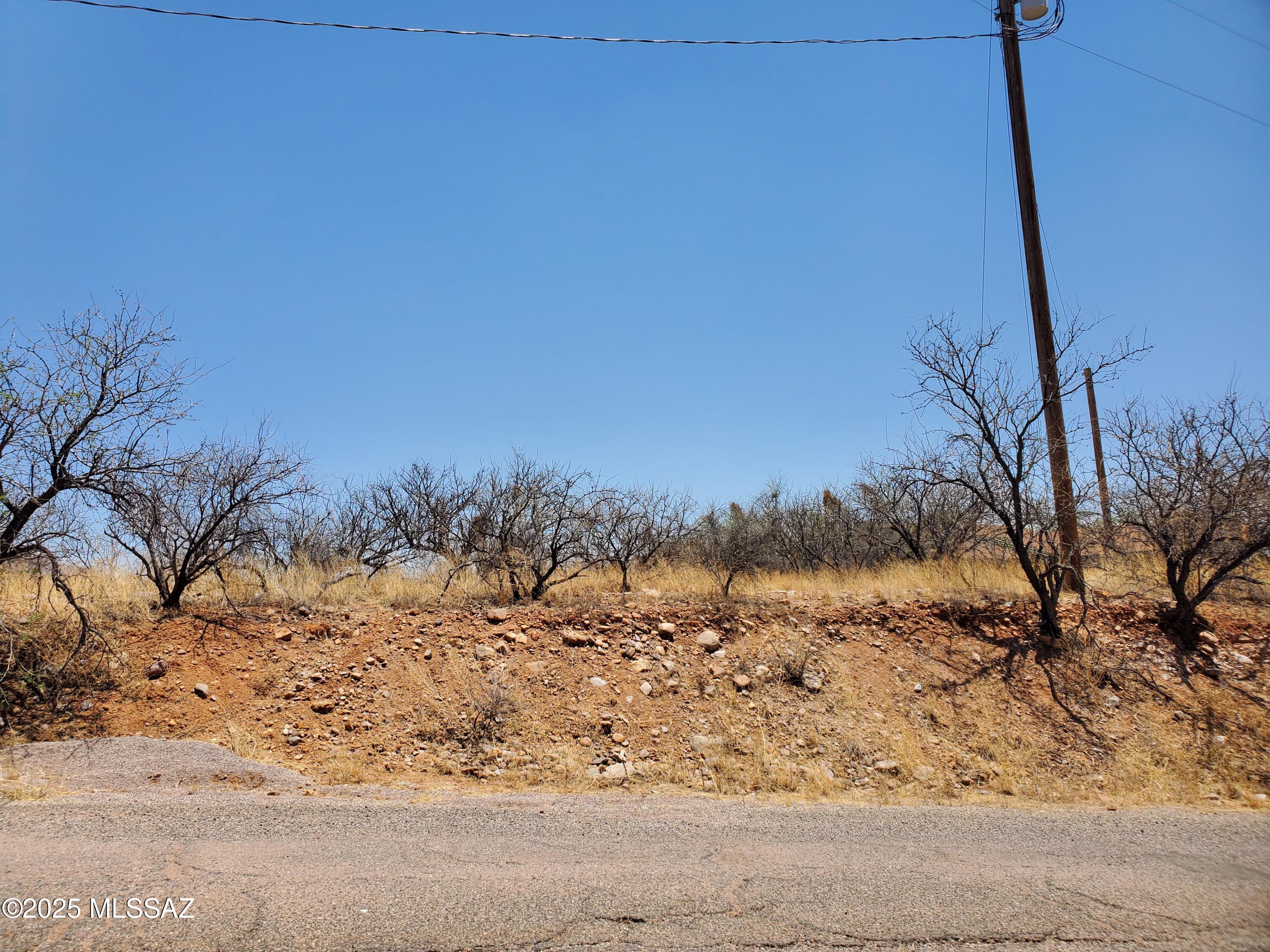 Rio Rico Estates 4 - Land