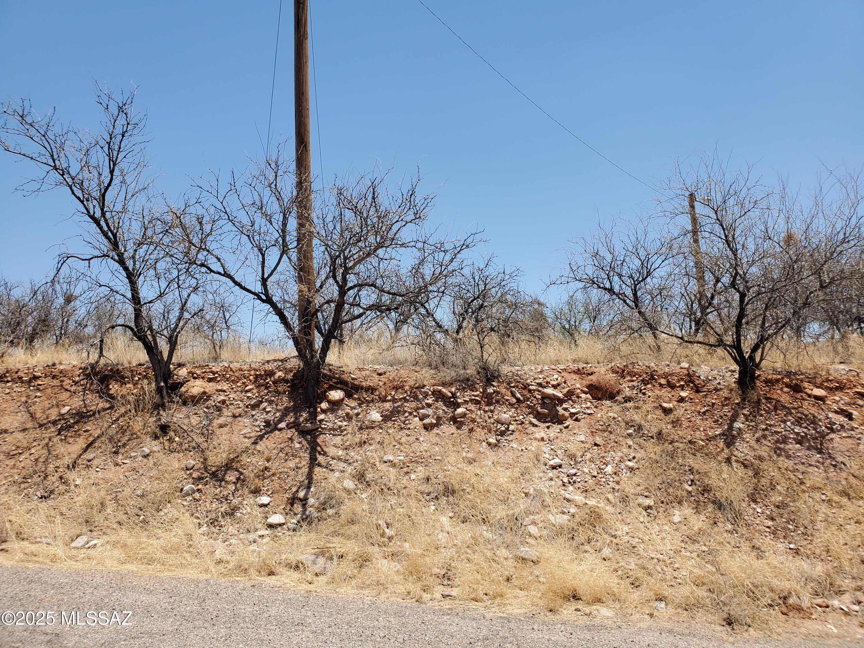 Rio Rico Estates 4 - Land