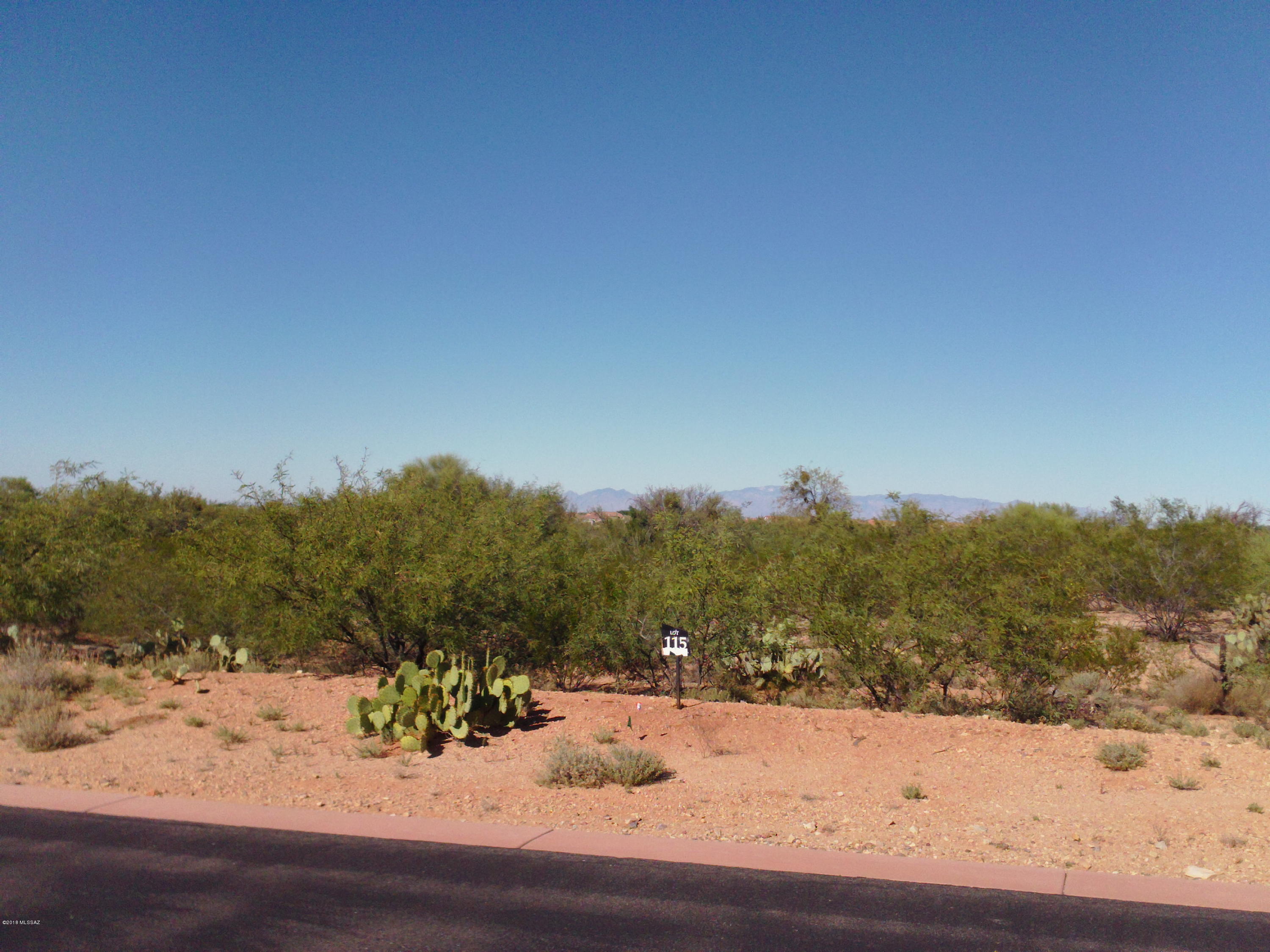 Exclusive Stone House community! Build your very own Arizona dream home here in this high desert climate which is easy on the bones :-) Lowest priced lot in the subdivision, Owner starting college fund for his daughter with sale! Gorgeous pristine views from Mt. Wrightson, the highest mountain peak in the area! All utilities are located at the lot! Close to shopping, restaurants, activities and adventures! Values are increasing and land has been a great investment in Arizona for years!