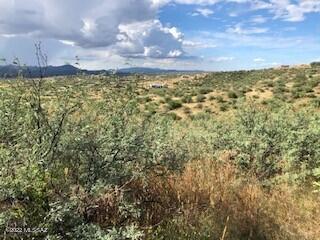Rio Rico Ranchettes 3 - Land