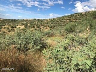 Rio Rico Ranchettes 3 - Land