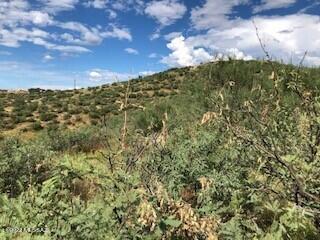 Large lot with downhill and rolling terrain.  The road Camino Magnifico is paved.  There is electric poles at the street.  Water should also be at the street.