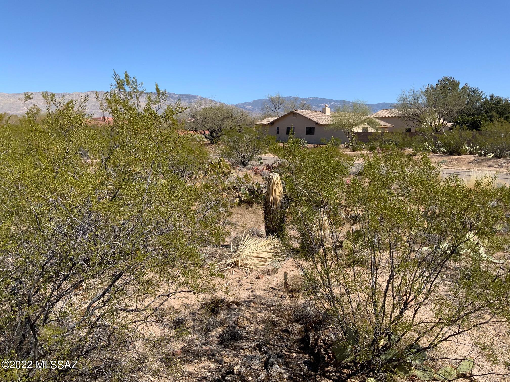 Antler Crest Estates (1-145) - Residential