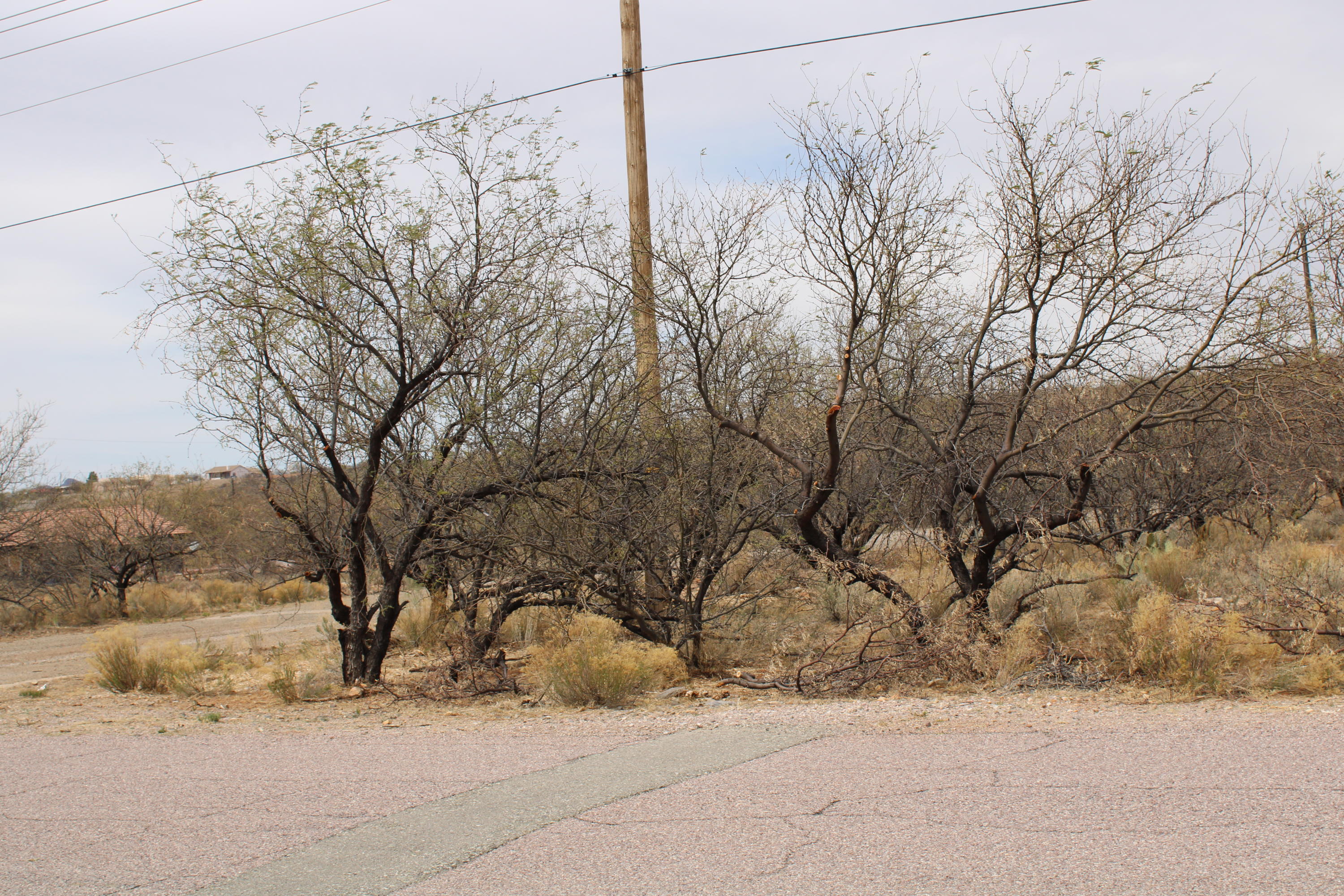 Rio Rico Villas 12 - Land