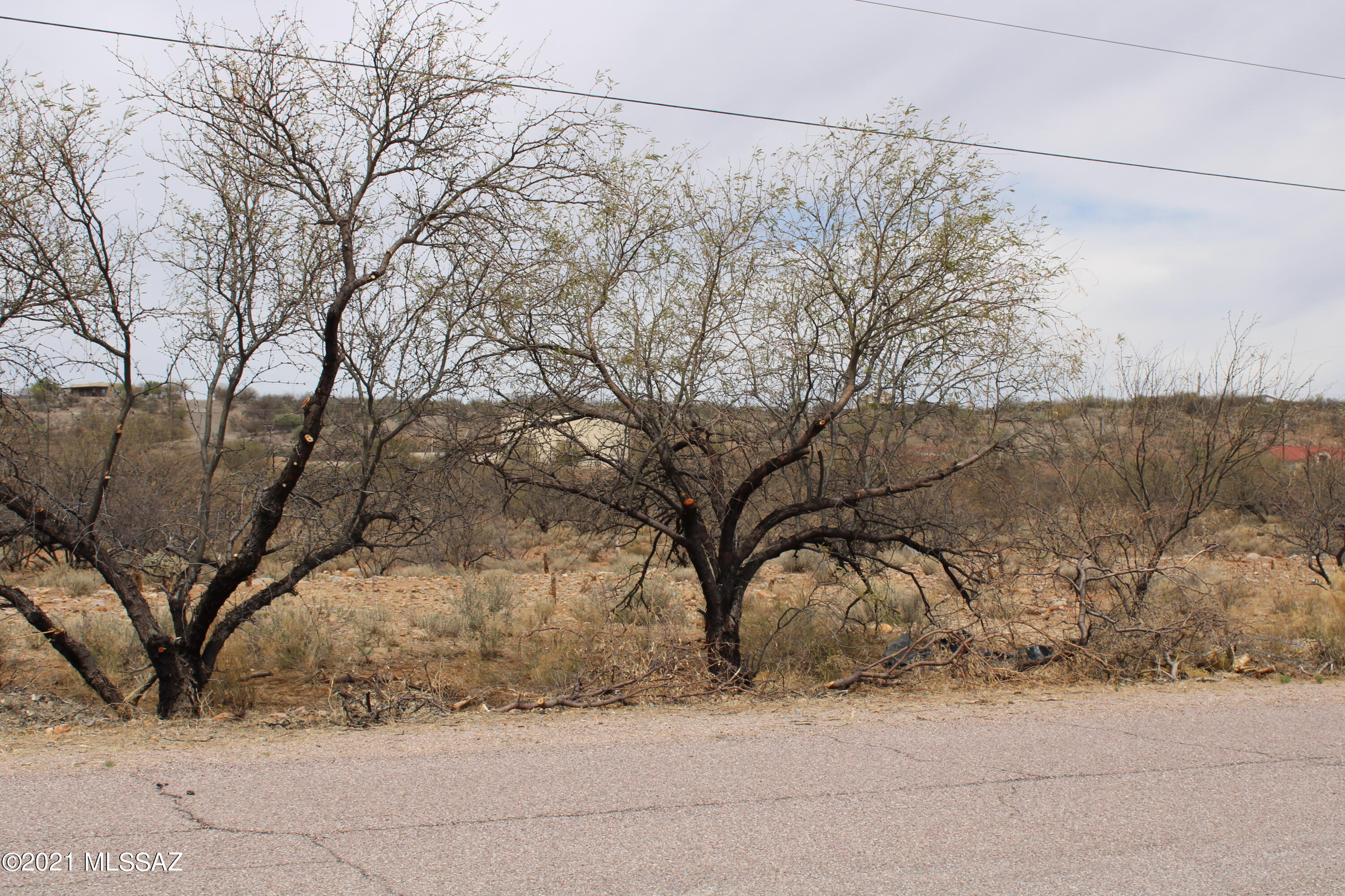 Rio Rico Villas 12 - Land
