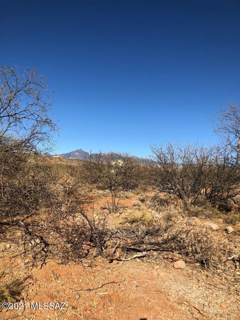 Rio Rico Villas 12 - Land