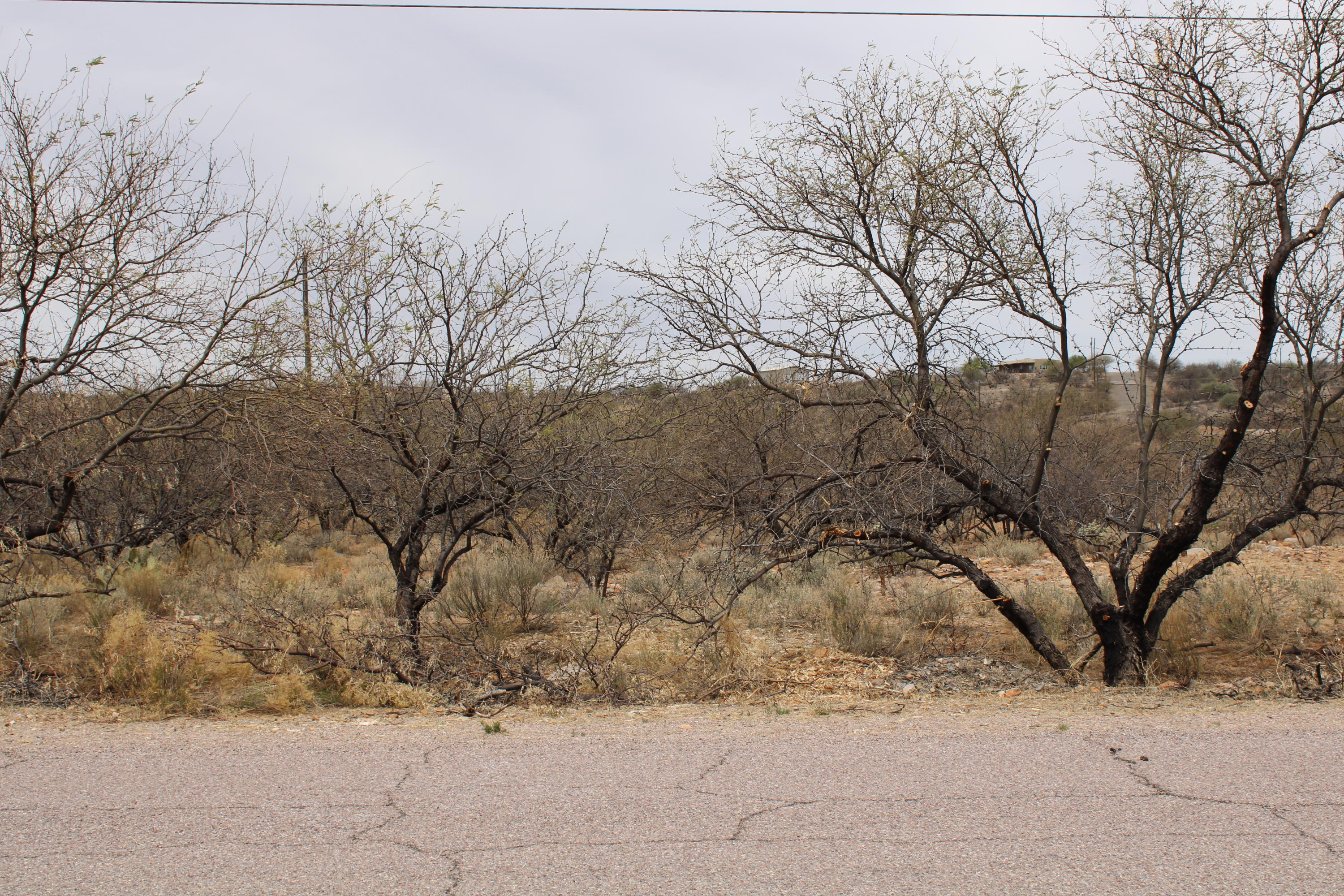 PERFECT FOR YOUR NEW HOME!  Picturesque mountain views from all angles.   Flat buildable corner lot.  Utilities are nearby and it is on a paved road.
