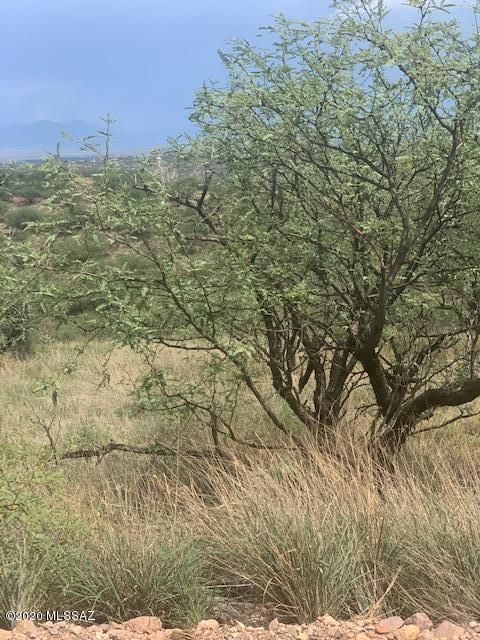 Rio Rico Ranchettes 7 - Land