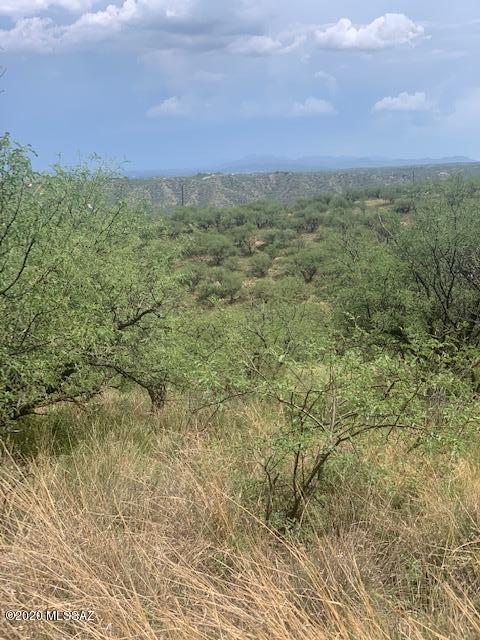 Rio Rico Ranchettes 7 - Land