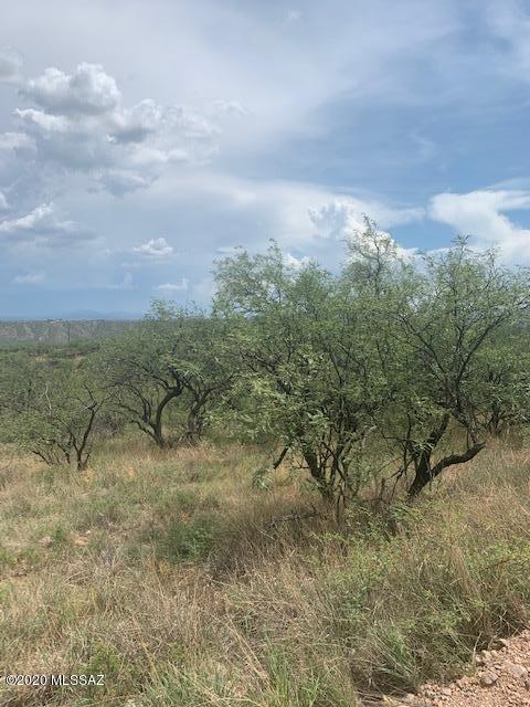 Rio Rico Ranchettes 7 - Land