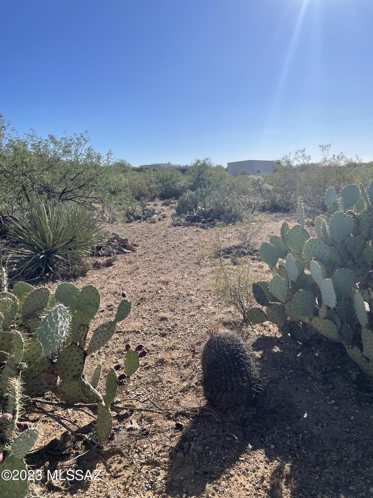 Come see this gem in the desert! Dream your big dream! Beautiful 1.2 acre lot in Vail. Fantastic views, and award winning Vail school district. Water and electric at lot line.