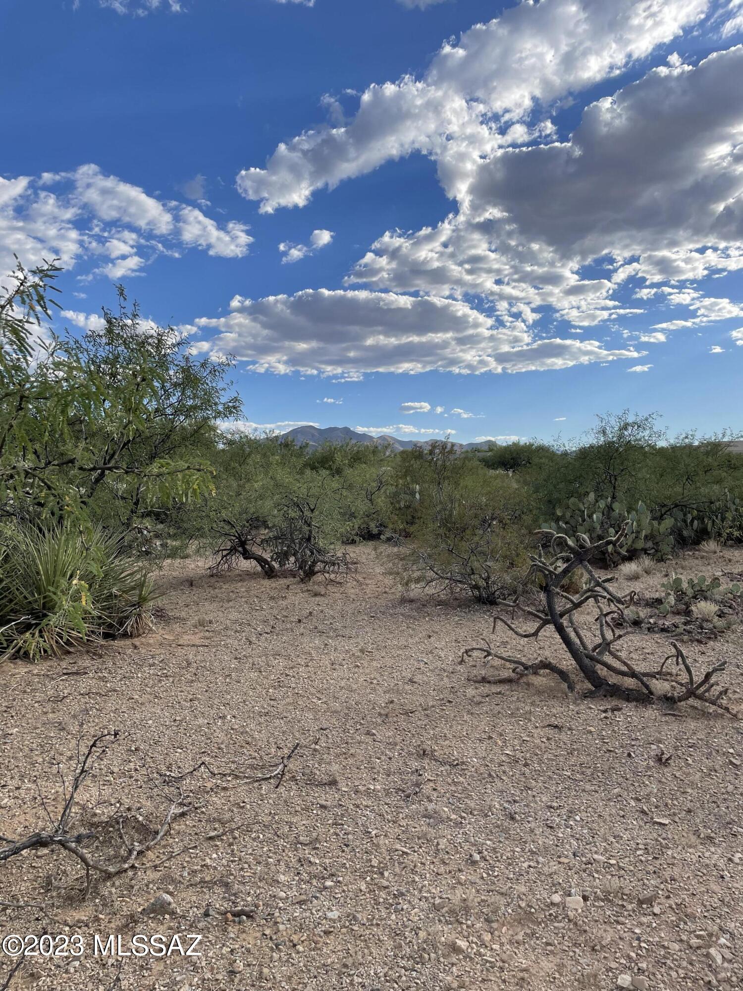 New Tucson Unit NO. 23 (140-261) - Land