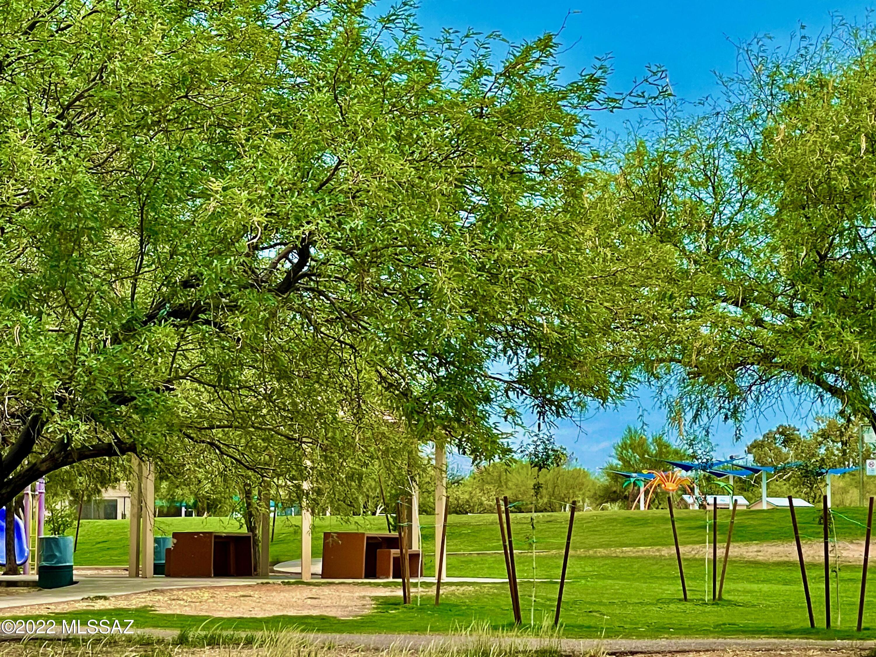Elliott Homes At Rita Ranch (1-521) - Residential