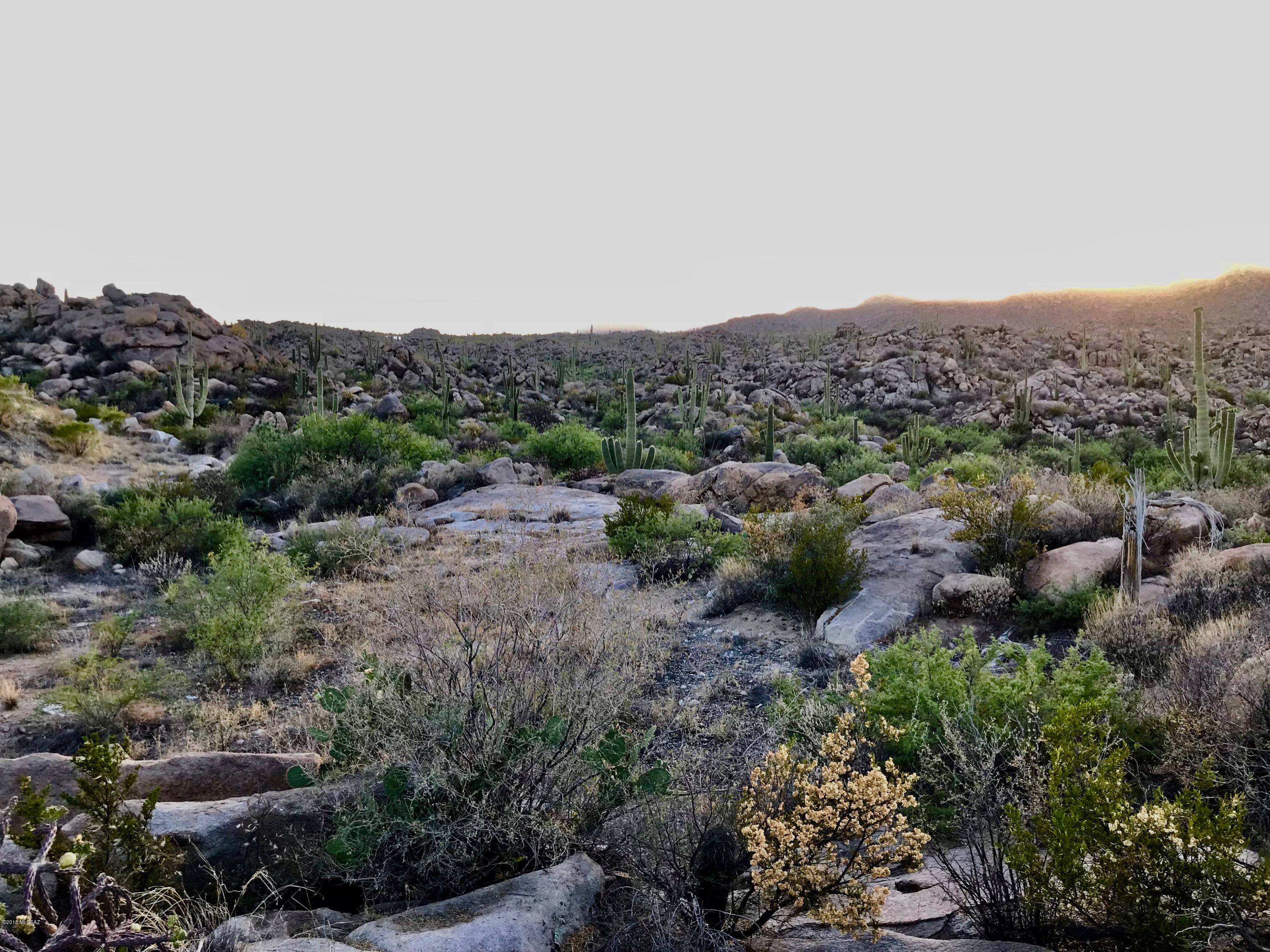 Stone Canyon IV - Land