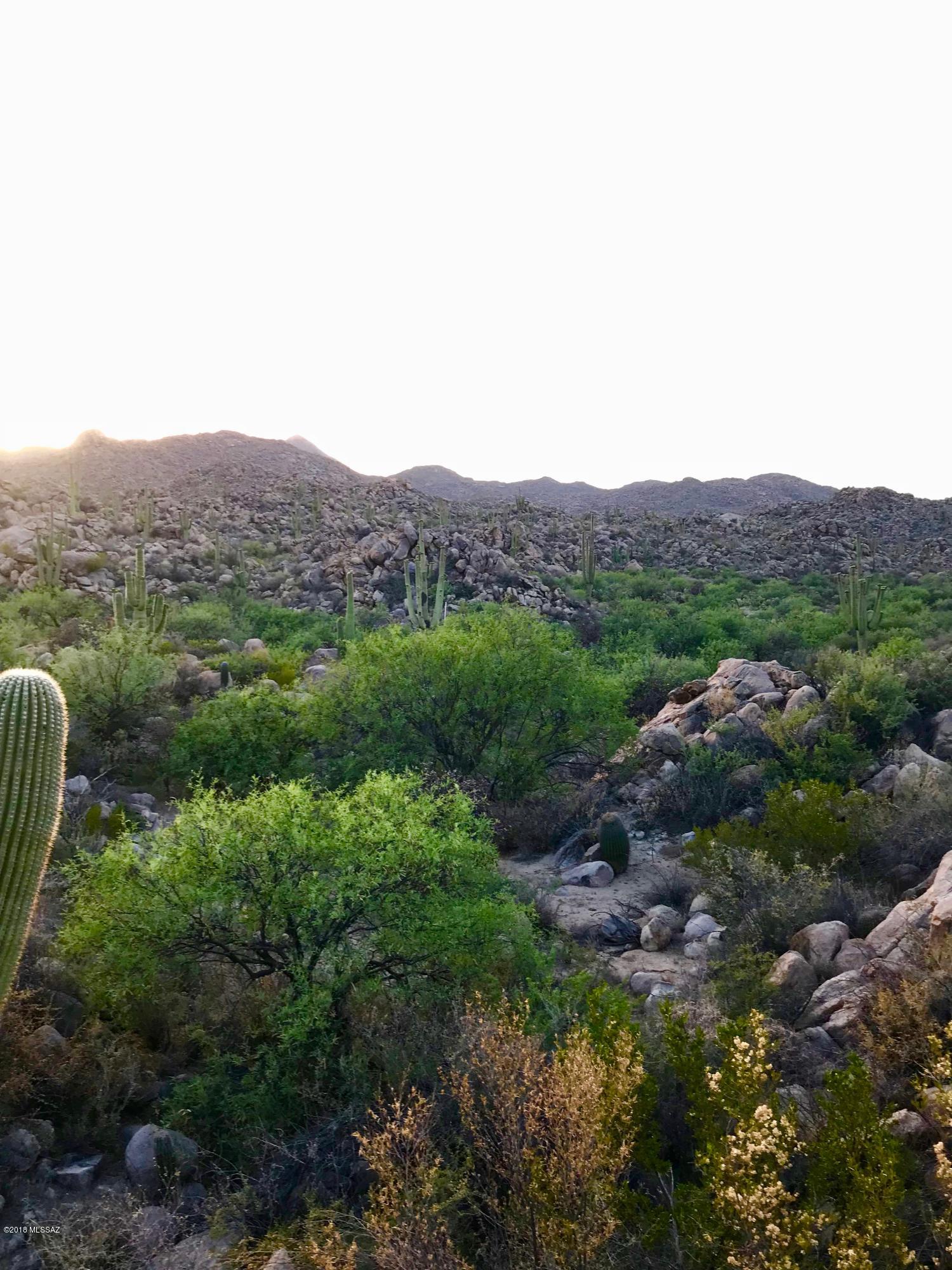 Stone Canyon IV - Land
