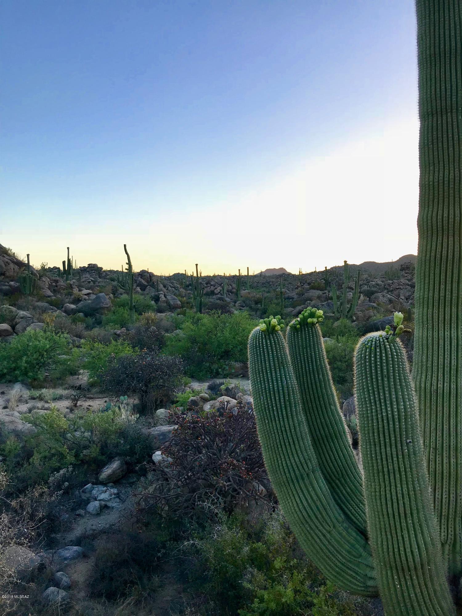Stone Canyon IV - Land