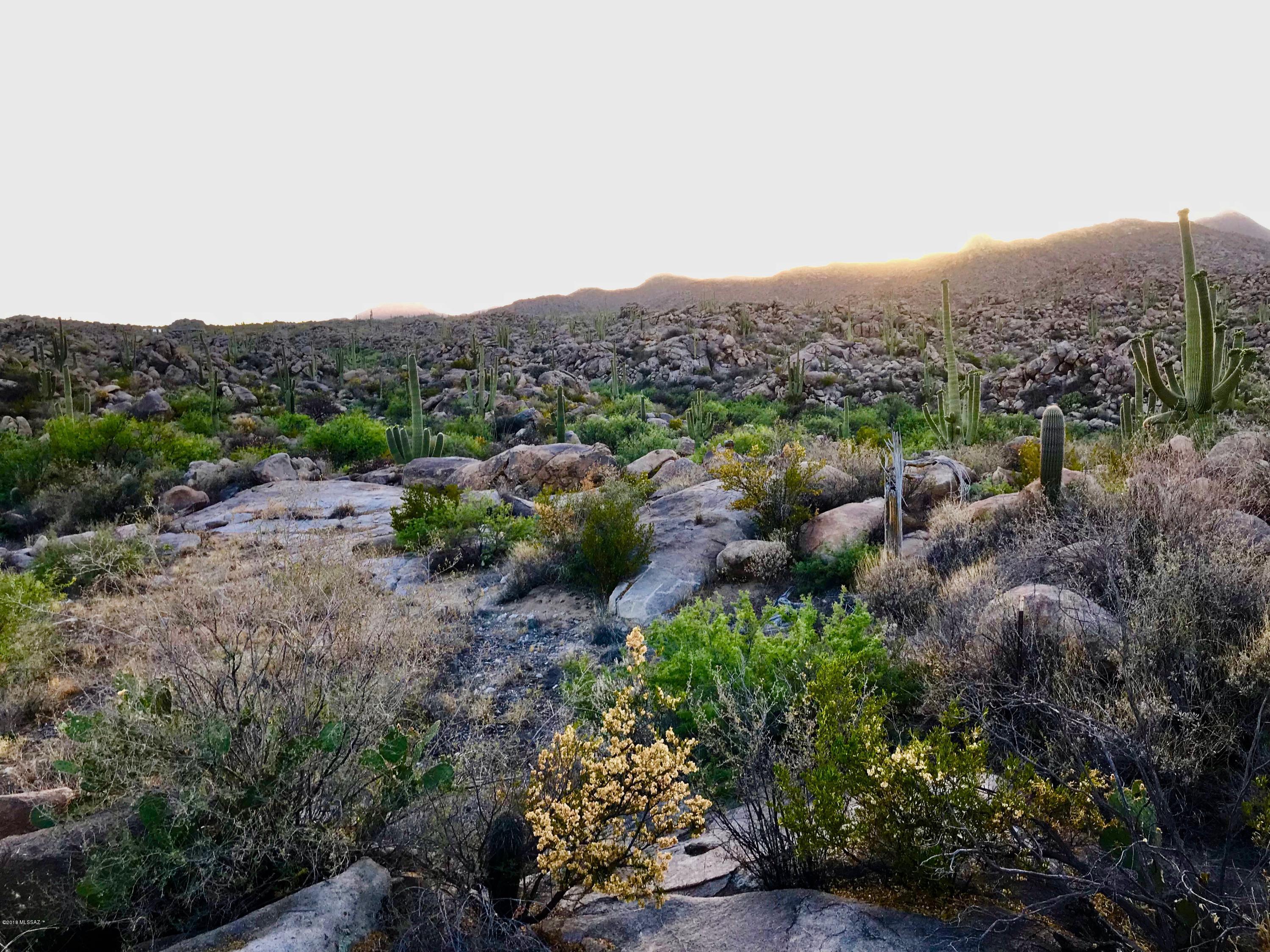Stone Canyon IV - Land