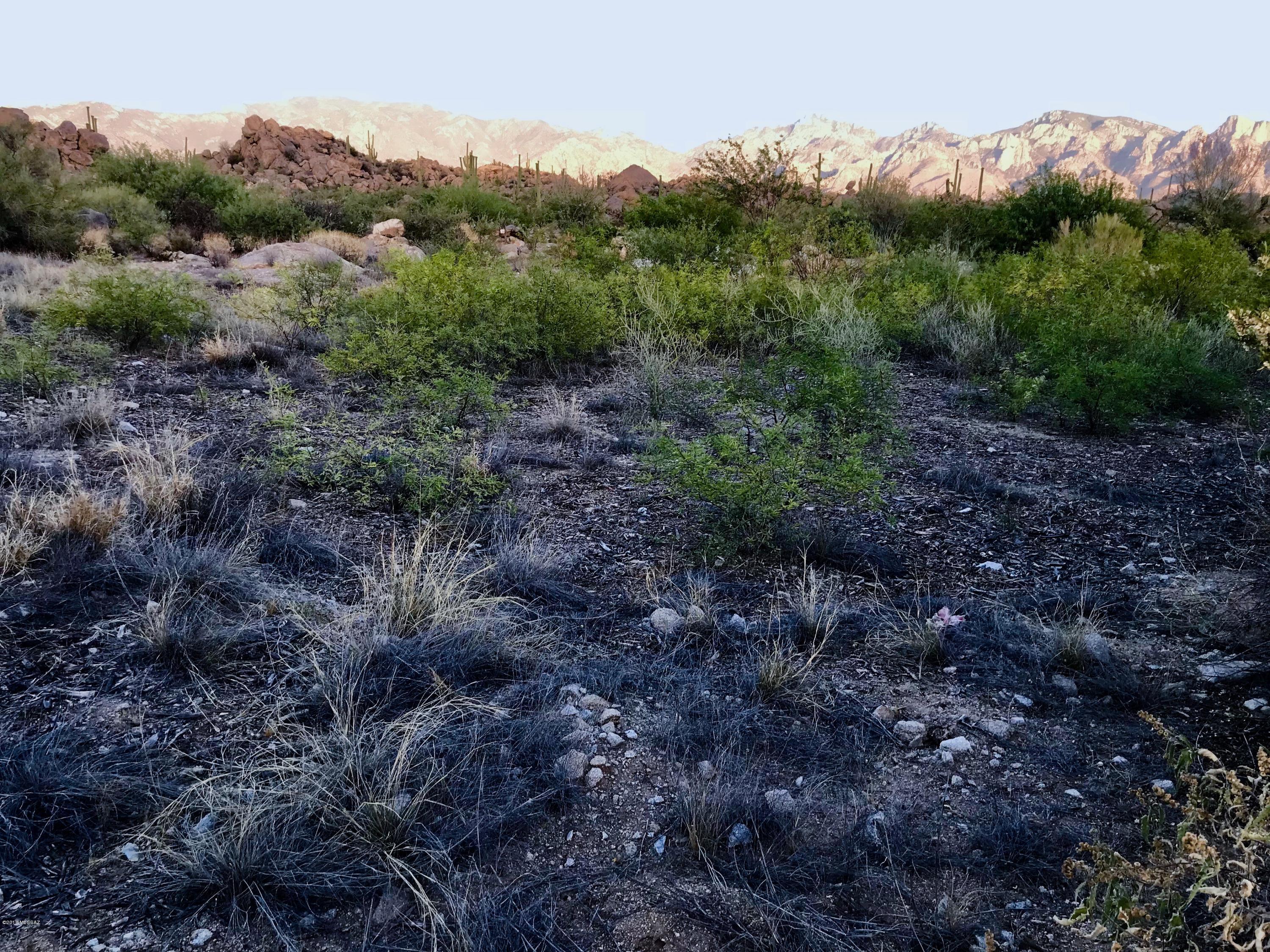 Stone Canyon IV - Land