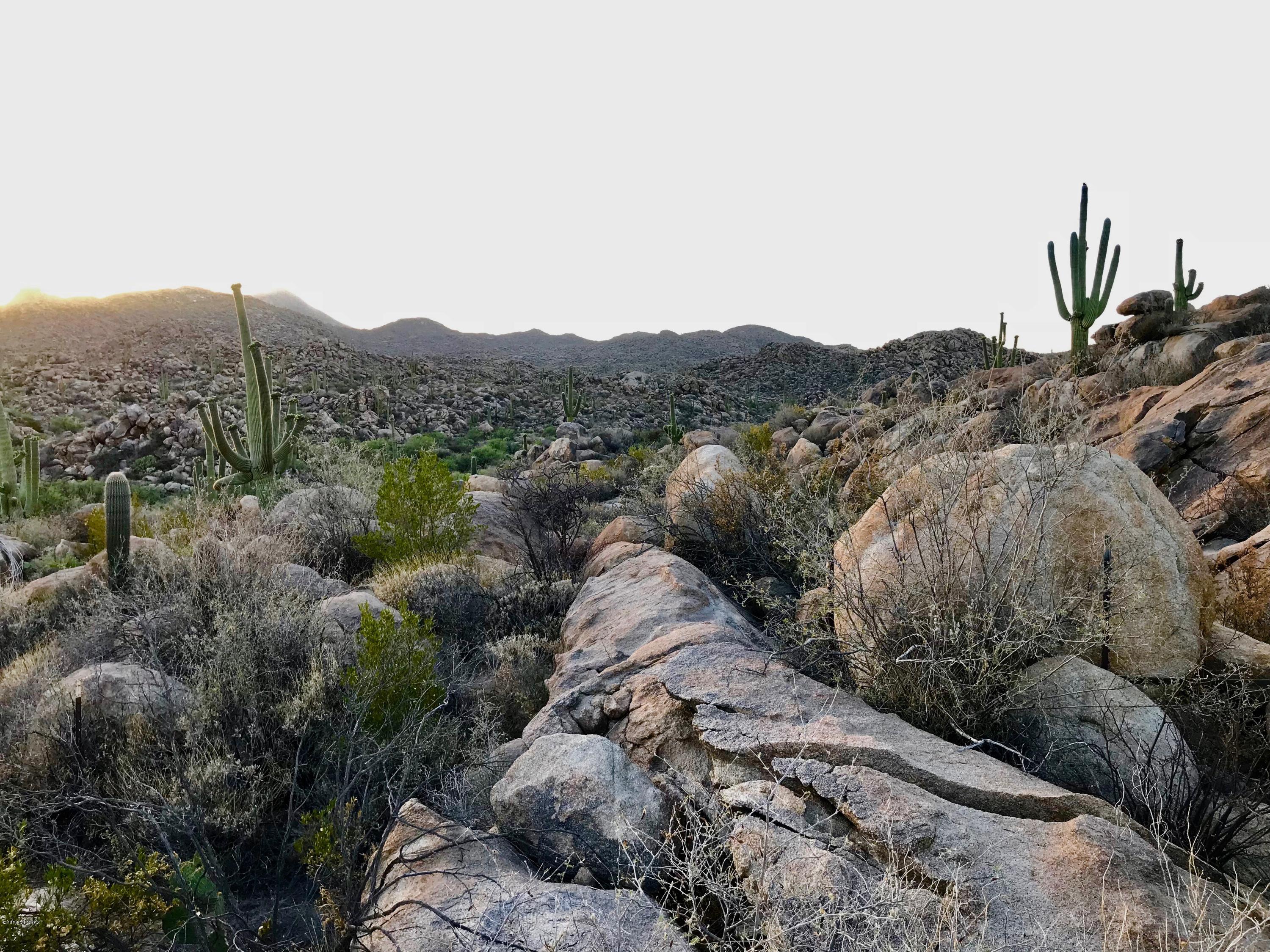 Stone Canyon IV - Land