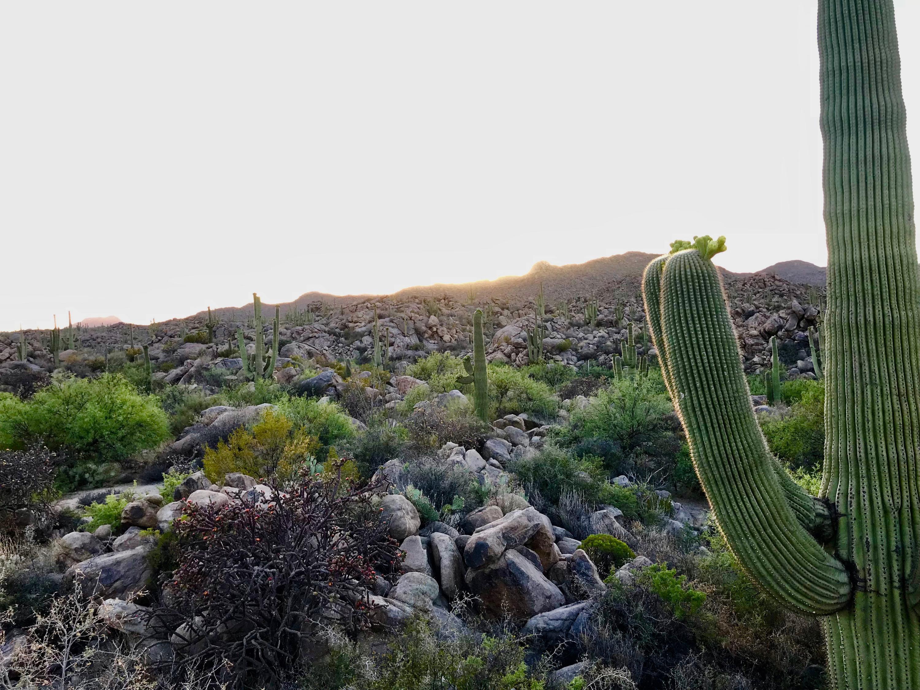 Stone Canyon IV - Land