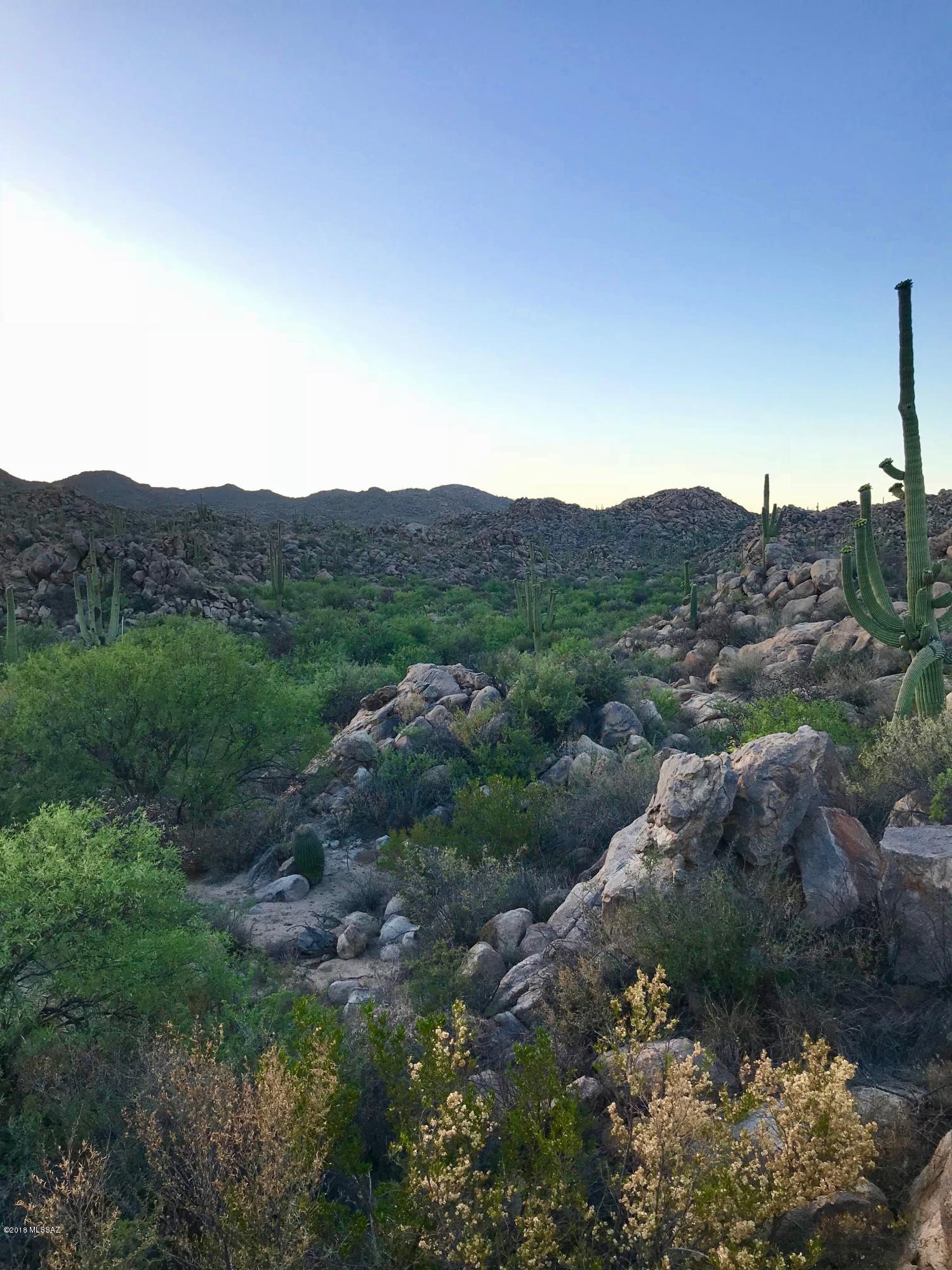 Stone Canyon IV - Land