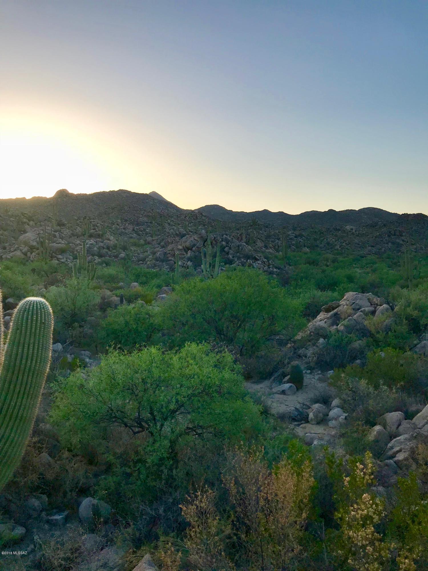 Stone Canyon IV - Land