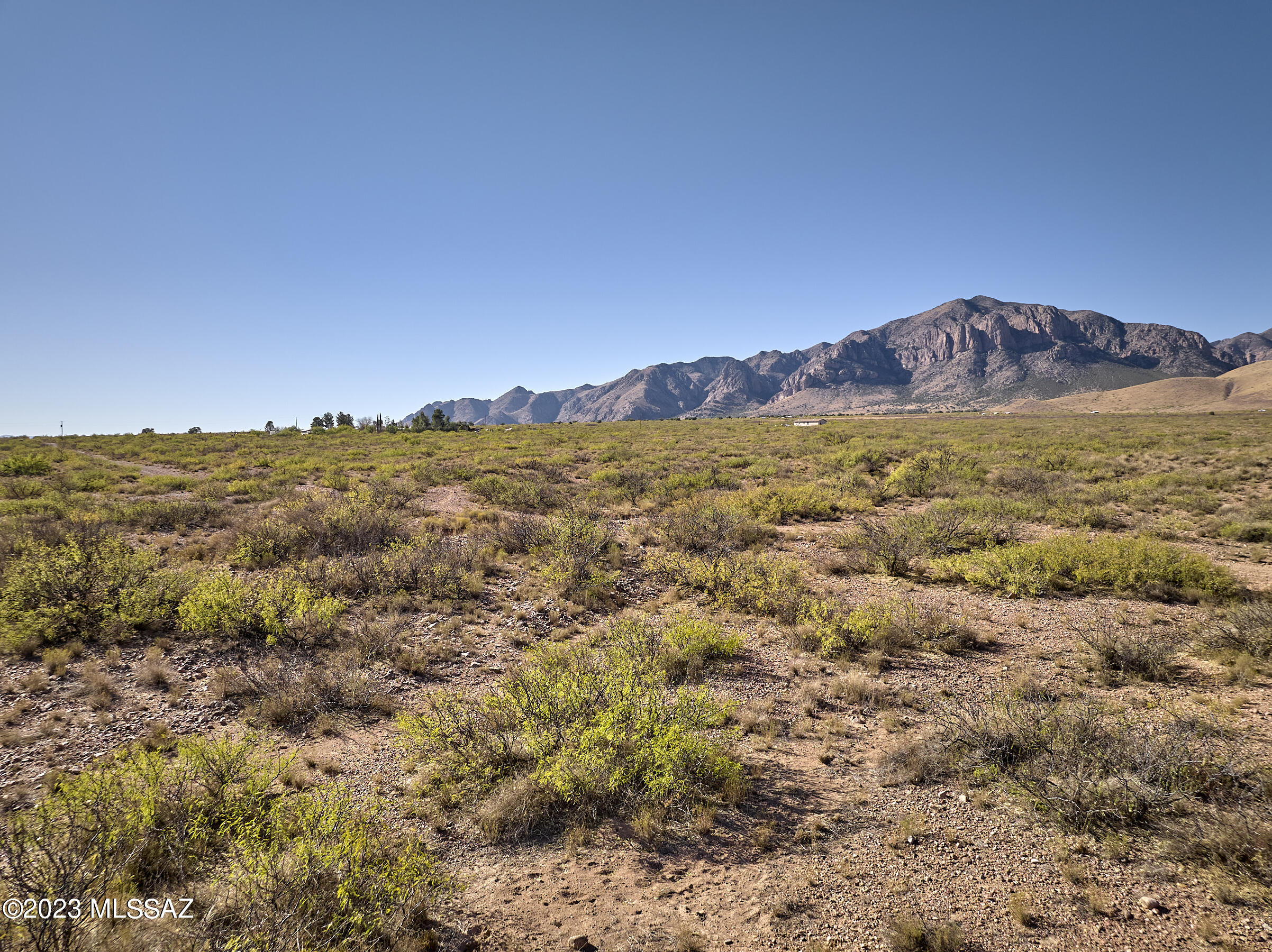 Do you want a view? Be next to Federal Land? Here is your chance to get 20 acres with a view of the Chiricahua Mountains to the west and the valley to the north, south and east. This incredible Cochise RU-4 zoned property with a private well (just tested) and power at the property. Build your dream home and if you want you can do the opt out plan and build alternative construction. This property has it and more. Seller will carry with $9,900 down over 10 years at 9.9% with a monthly payment of $527.00 plus Pioneer Title's account processing fee.