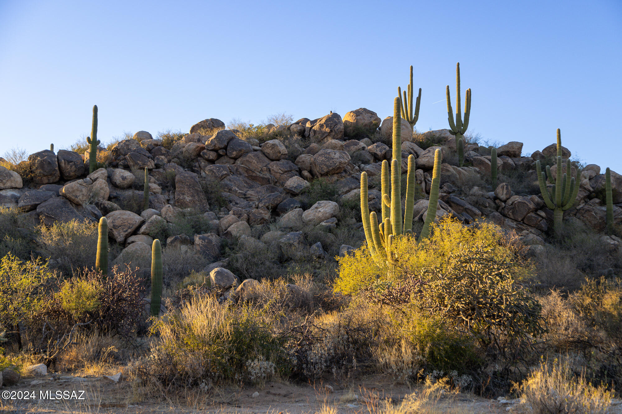 Stone Canyon IV - Land