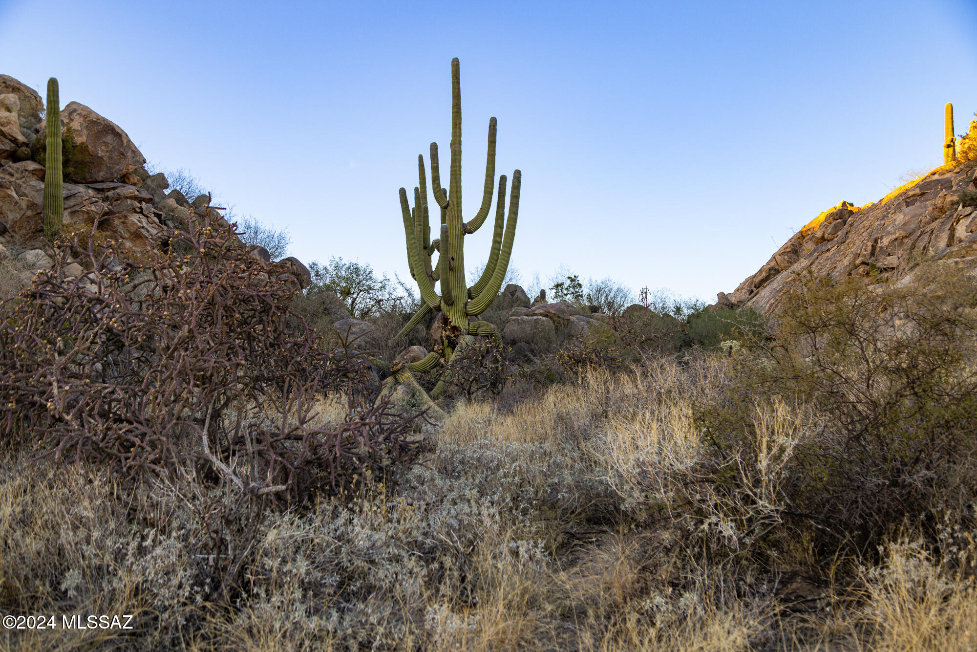 Stone Canyon IV - Land