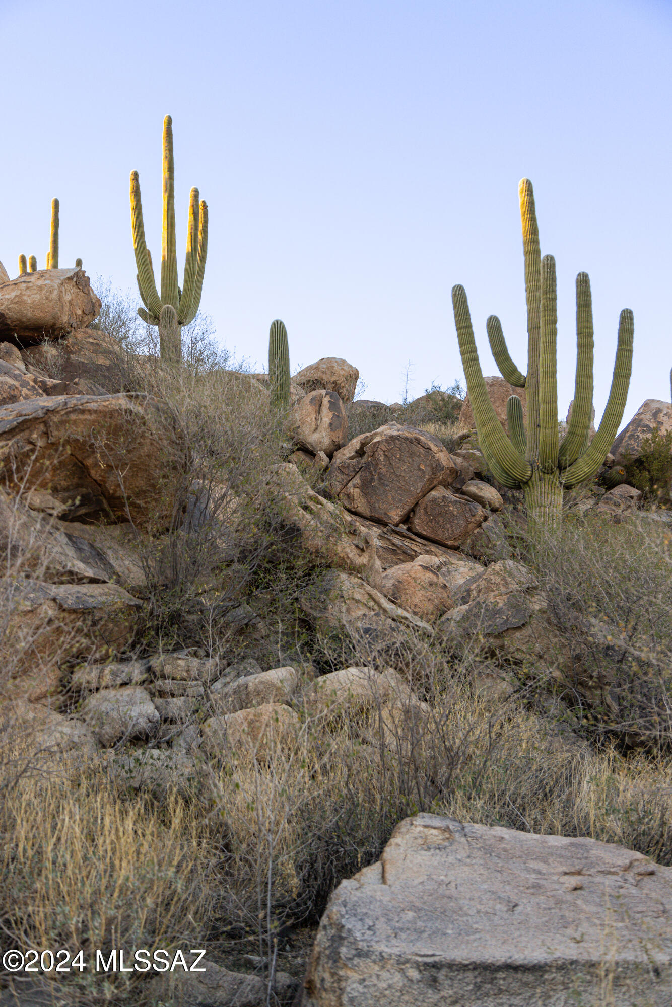 Stone Canyon IV - Land