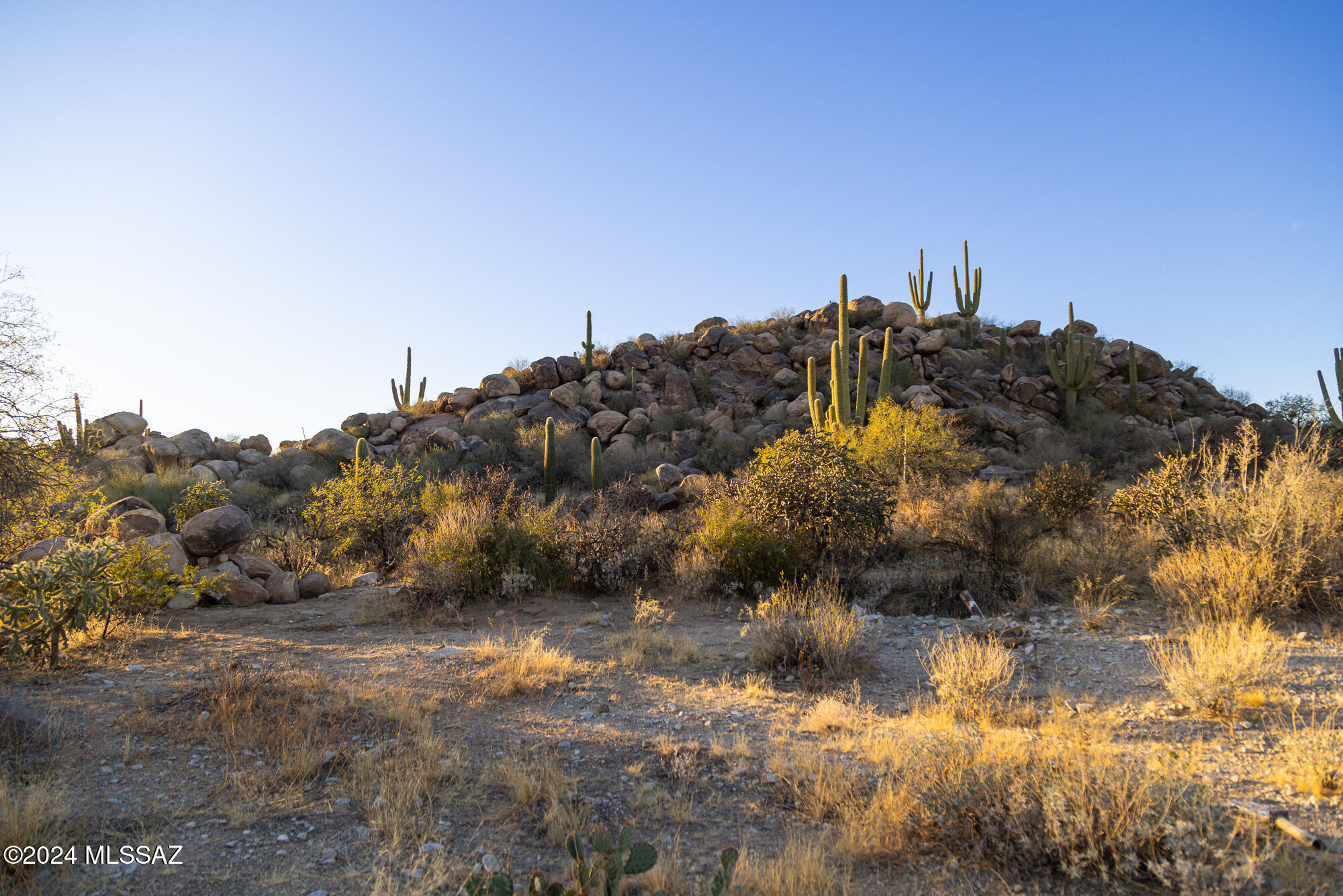 Stone Canyon IV - Land