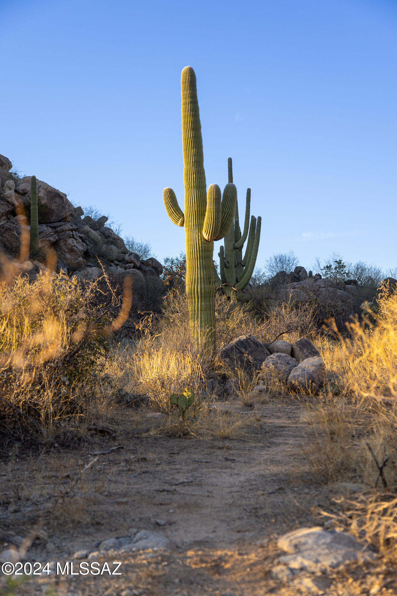 Stone Canyon IV - Land