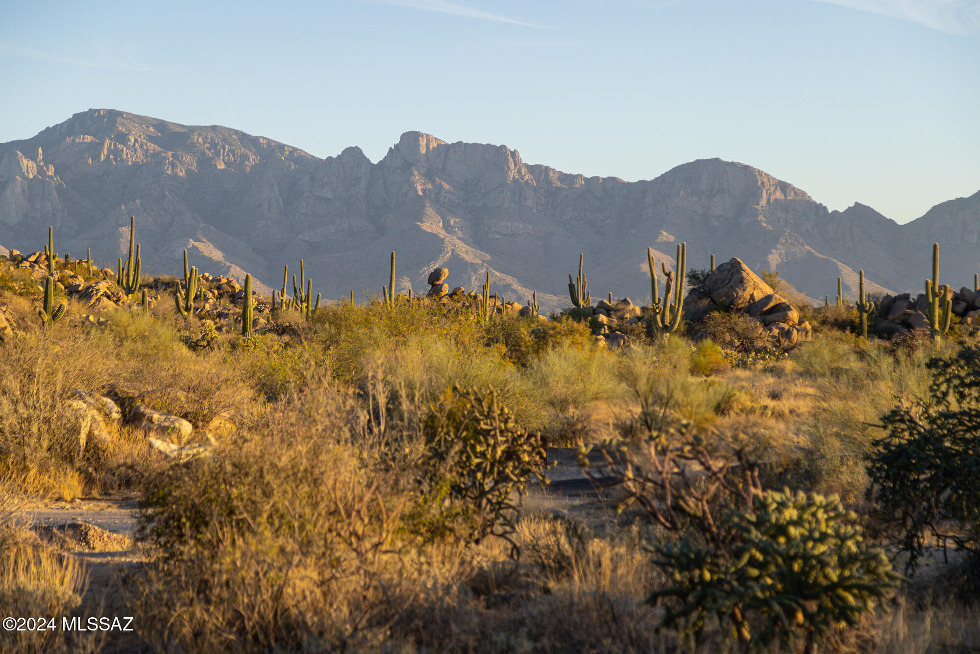 Stone Canyon IV - Land