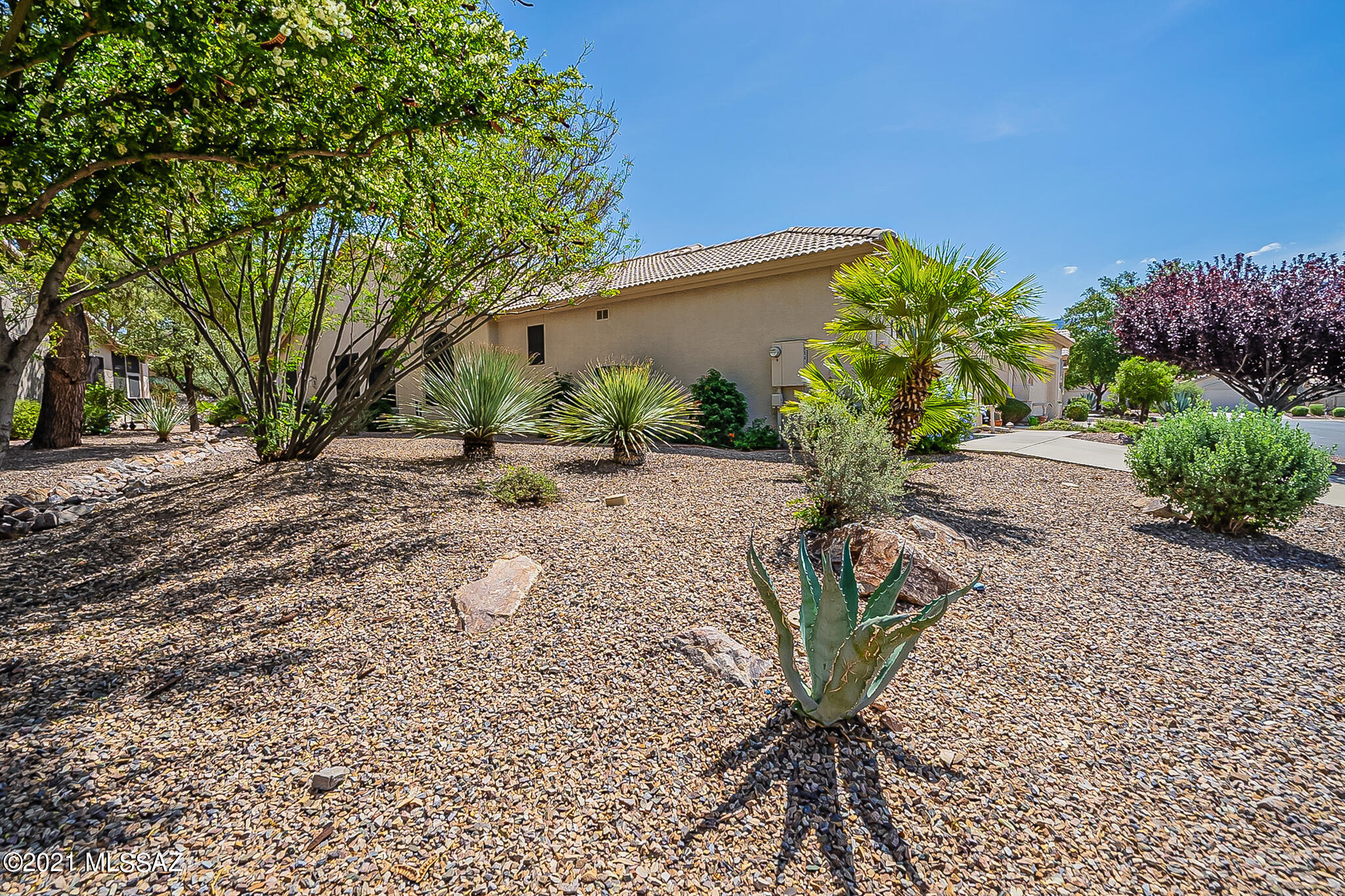 Saddlebrooke - Residential