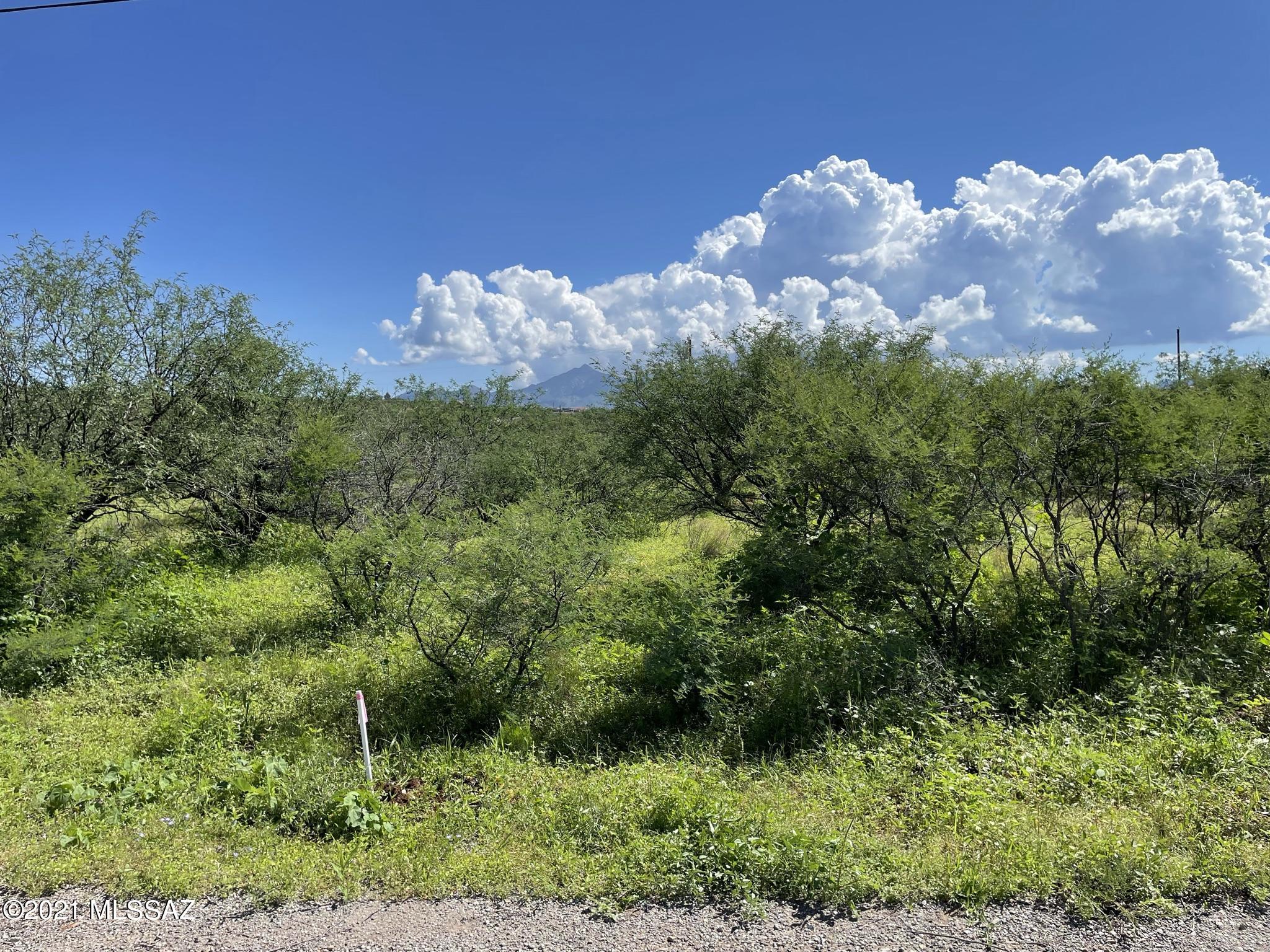 Northeast Rio Rico property available with mountain views.  Level buildable property with electricty and sewer connection. Easy access on paved roads 4.6 miles from I-19 Rio Rico exit 25 at Palo Parado.