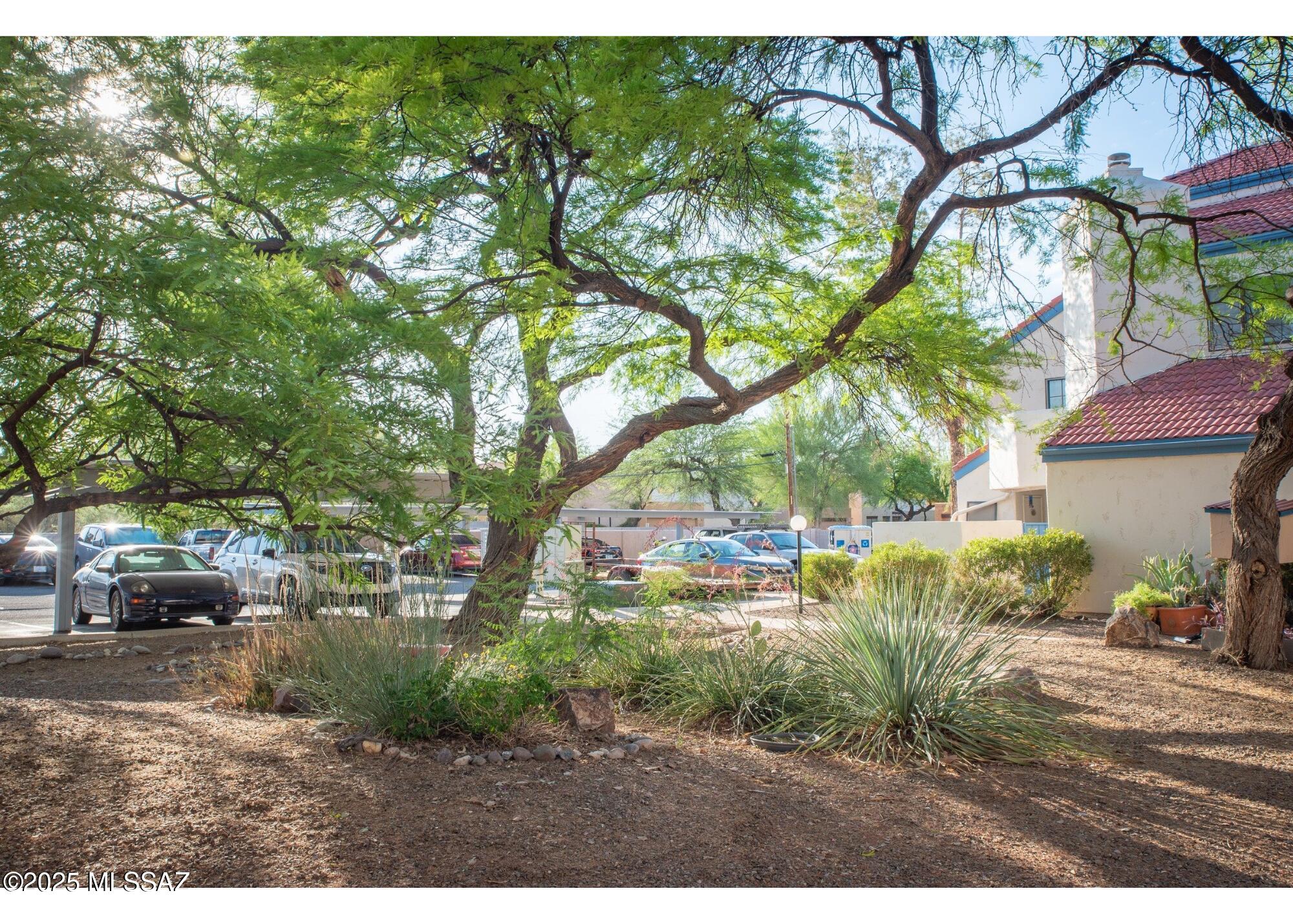 River Grove Condos. - Residential